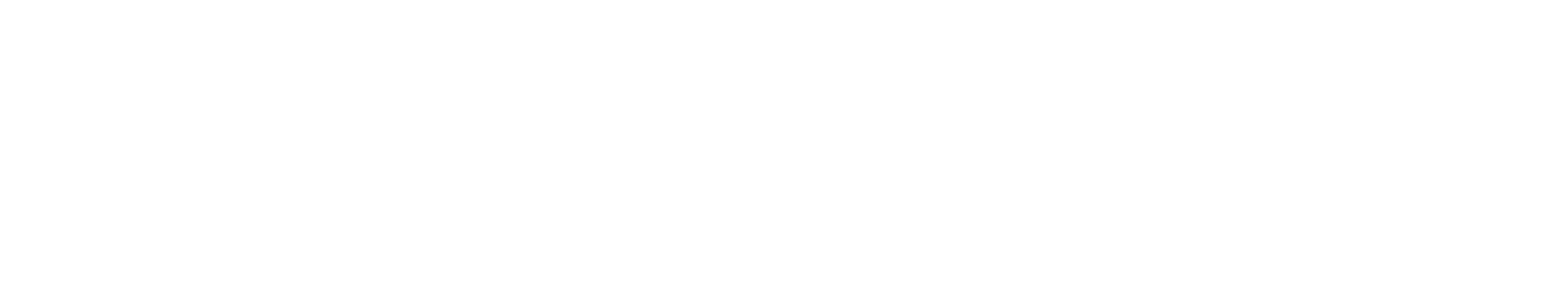 TechBySoul Logo